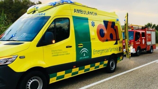 Muere un anciano tras ser atropellado por un camión en Adra