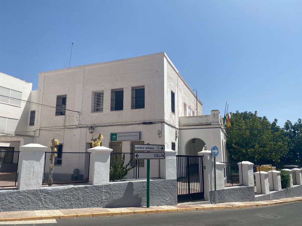 Comienza el Proyecto Algarrobo en el CEIP Luis Vives de Dalías