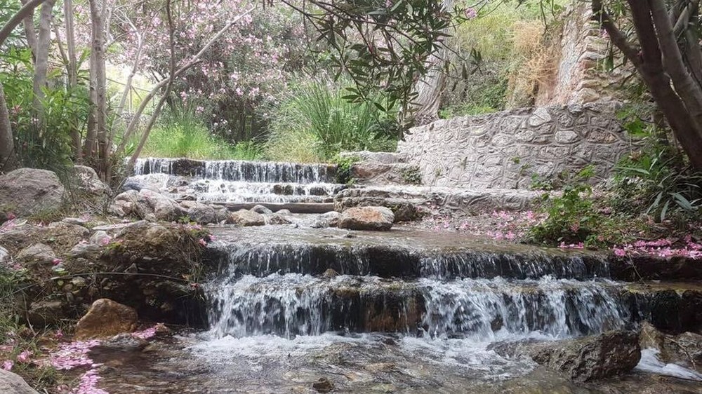 Cerca de un centenar de personas se dan cita este miércoles en la Olimpiada de Mayores de Vícar