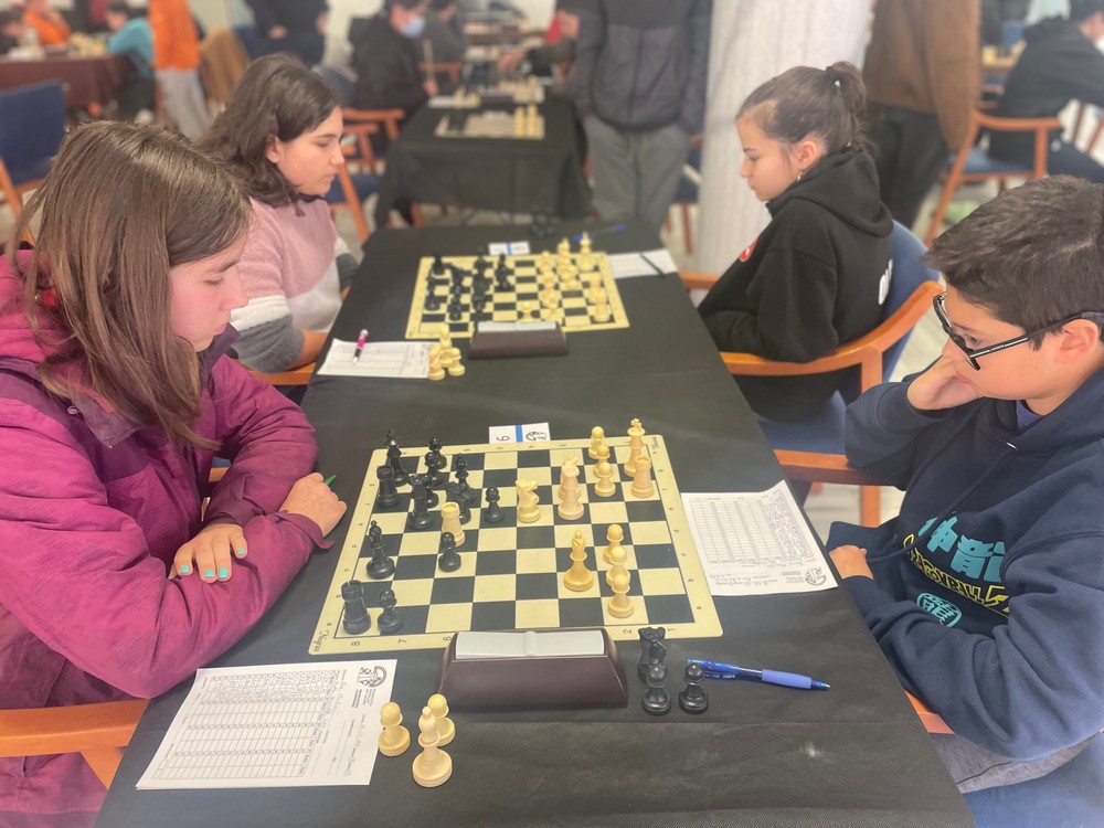 El Club de Ajedrez de El Ejido logra dos triunfos en los campeonatos provinciales