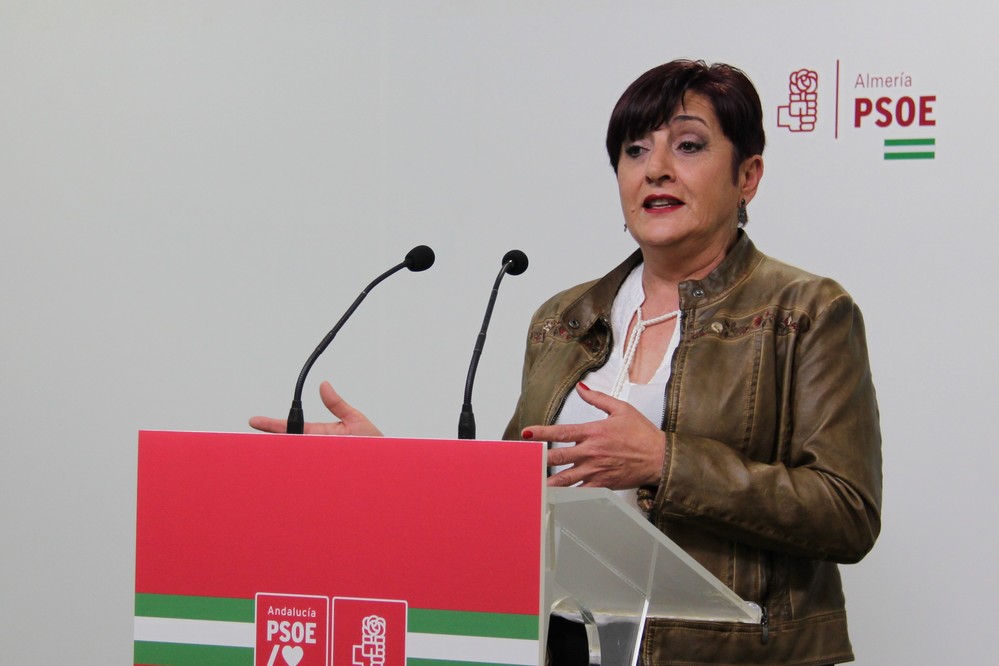 El PSOE consigue que se destinen 4,3 millones a empleo, juventud, mayores y nuevas dotaciones