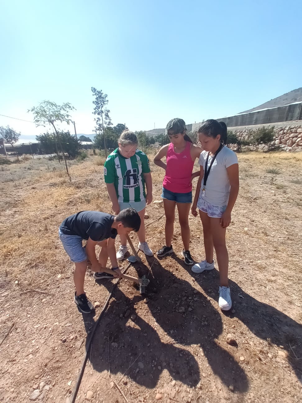 Concluye en Dalías el Proyecto Algarrobo con la siembra de una decena de árboles