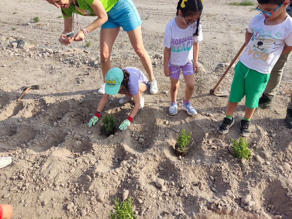 Familias y niños participan en Roquetas de Mar en actividades de mantenimiento y control de mosquitos y plantan especies aromáticas