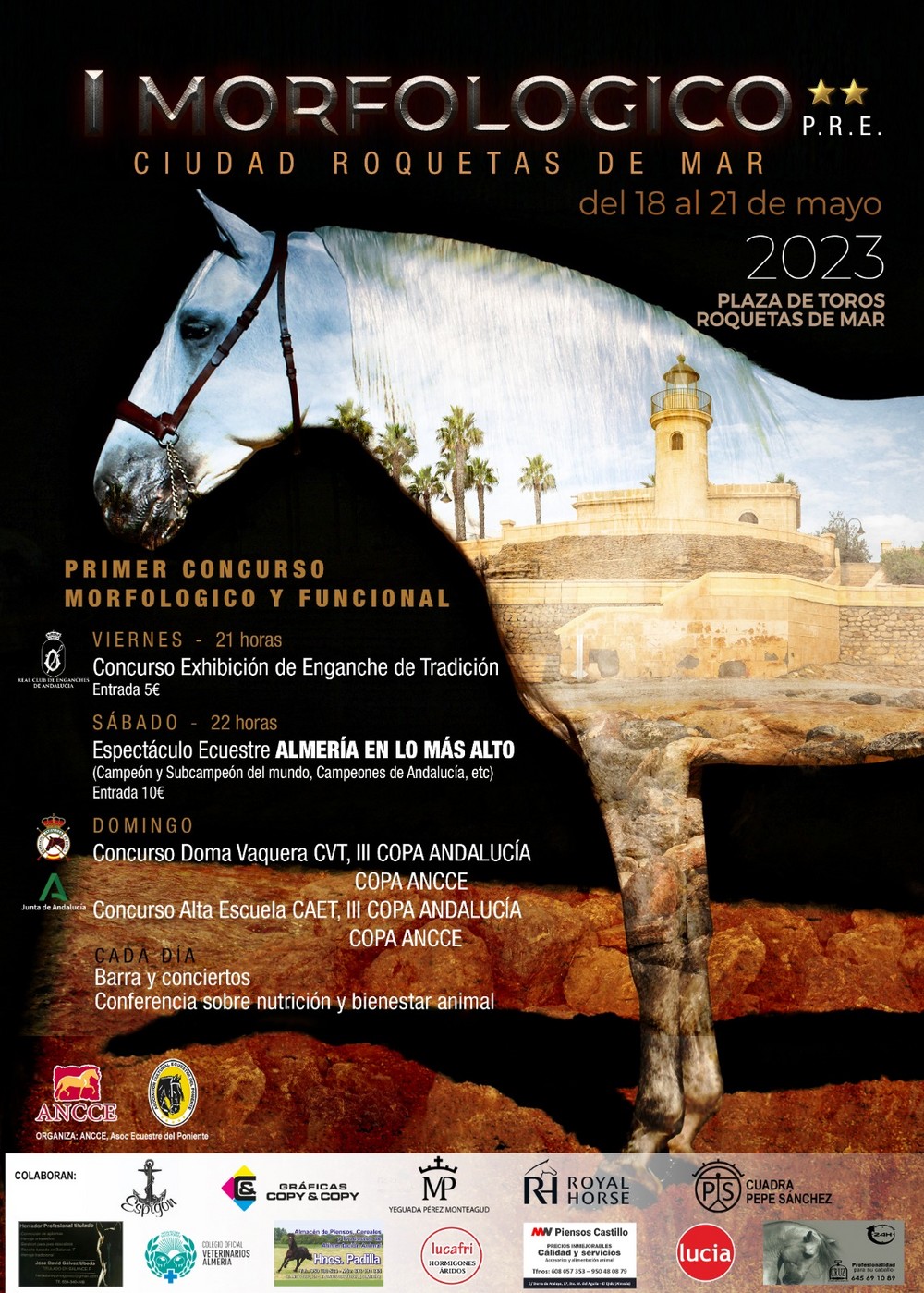 Roquetas acoge el I concurso morfológico y funcional de caballos Pura Raza Española