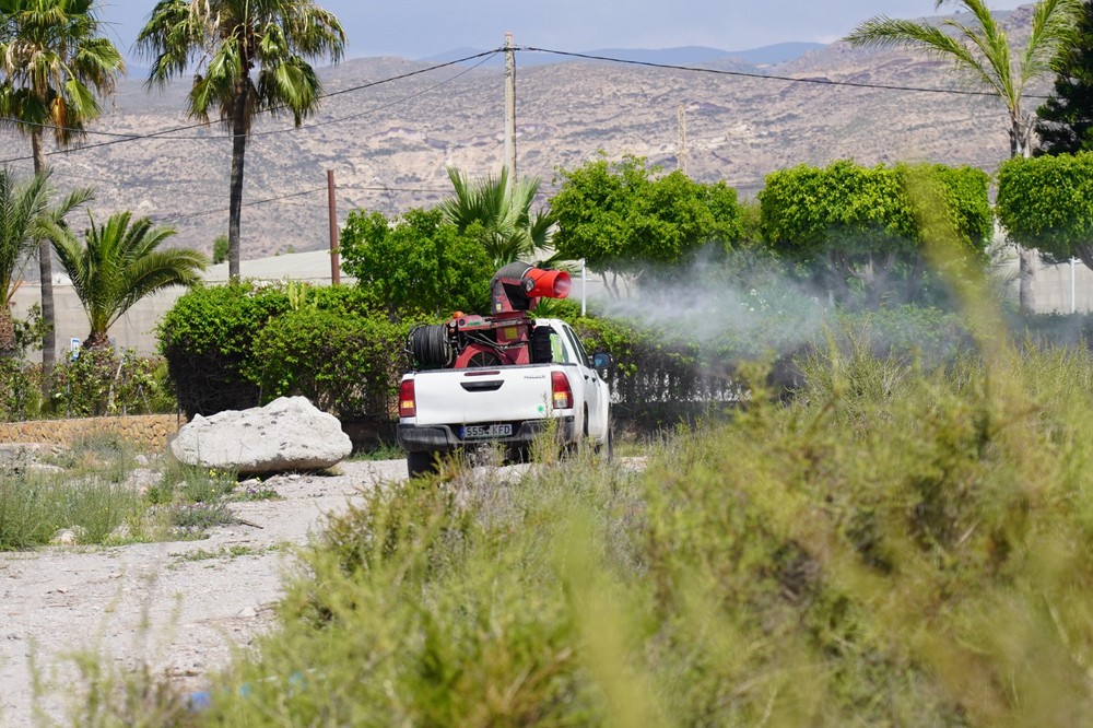 Las últimas lluvias y las altas temperaturas intensifican la lucha contra los mosquitos y sus larvas en Roquetas de Mar