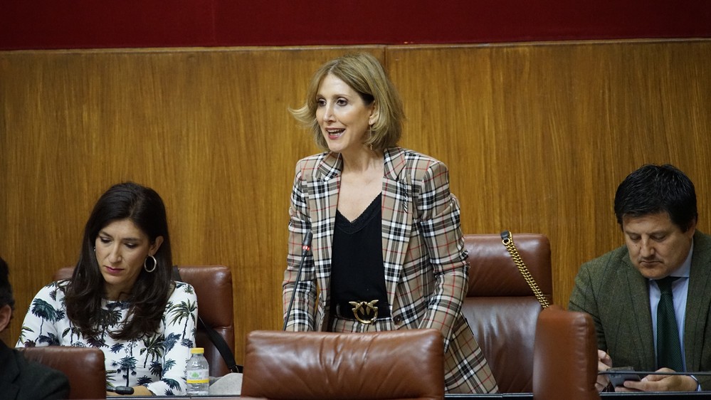 El PP afirma que el nuevo IES Las Salinas se licitará próximamente para cubrir las necesidades educativas de Roquetas de Mar