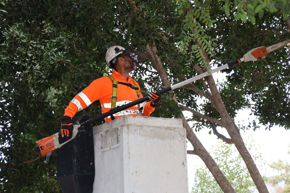 En marcha el operativo extraordinario de limpieza y embellecimiento en los tres cementerios de El Ejido de cara a la festividad de Todos los Santos