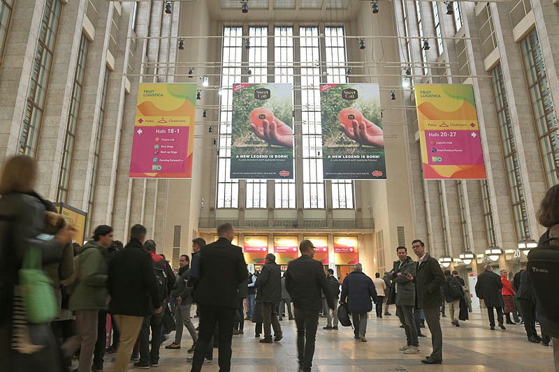 La agricultura de Vícar exhibe en Fruit Logistica 2024 la calidad de sus productos