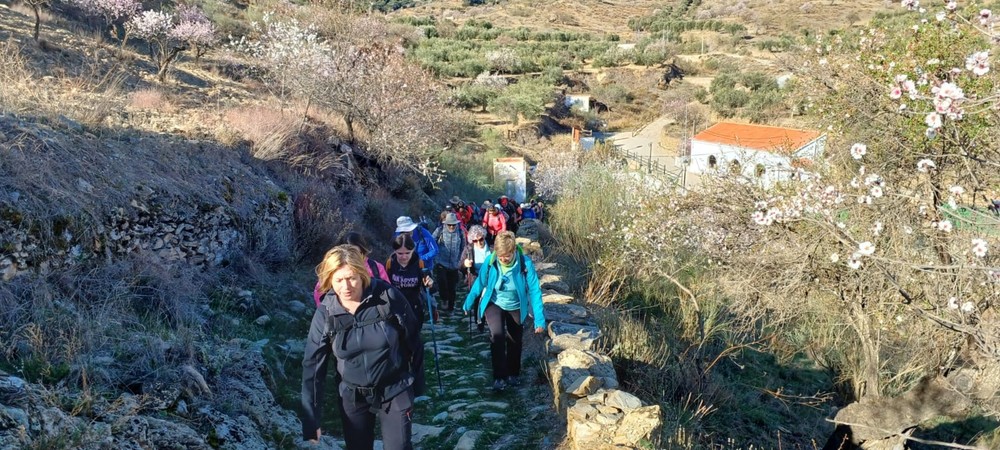 Medio centenar de vicarios disfrutan del encanto de los almendros en flor en una ruta por Tahal