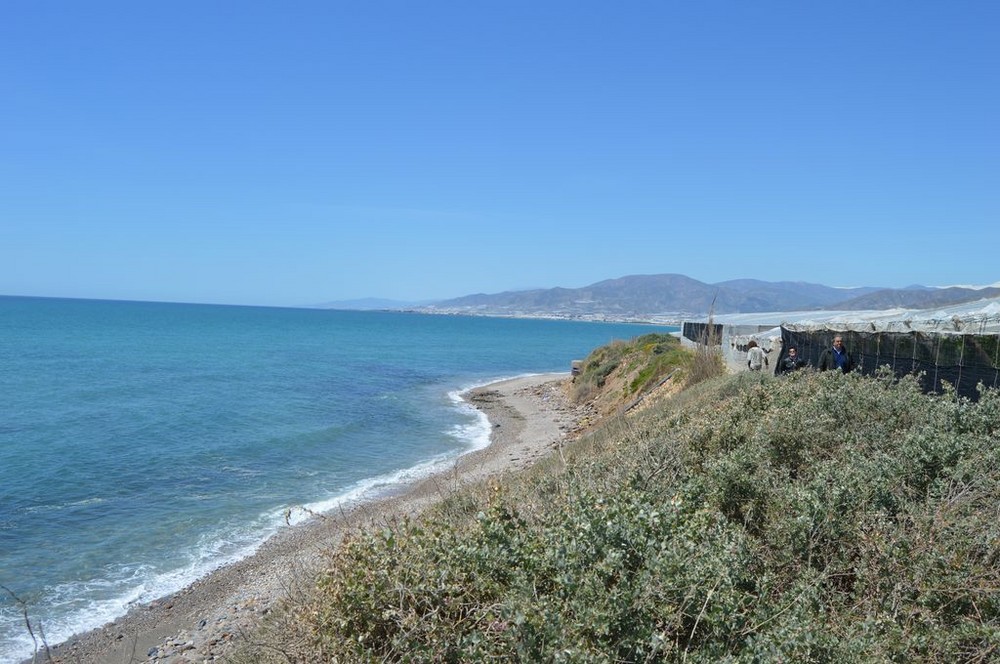 El PSOE de El Ejido pide al alcalde que cumpla con la habilitación de una playa canina