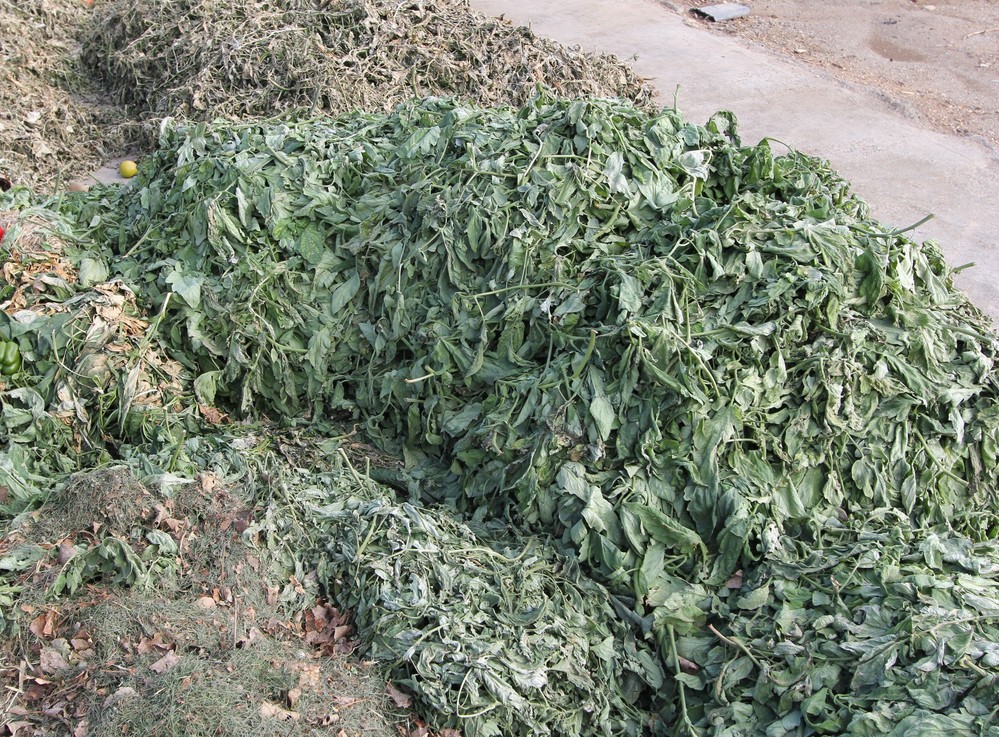 La Asociación de Empresas de Recogida de Residuos Agrícolas de Almería (ARRAS) alerta de la saturación de las plantas de gestión de restos vegetales