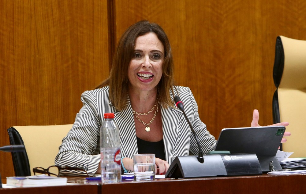 La Junta comenzará la renovación de los pantalanes del puerto de Roquetas de Mar antes de final de año