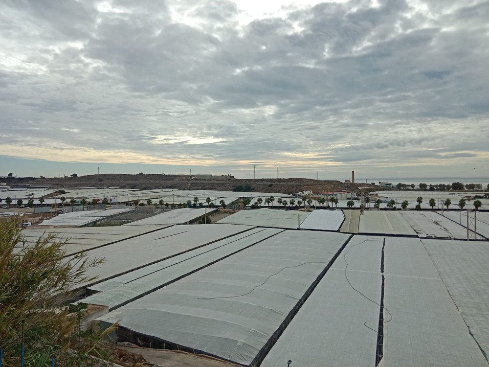 COAG Almería consigue eliminar el cómputo del IVA de la producción en el sistema de módulos