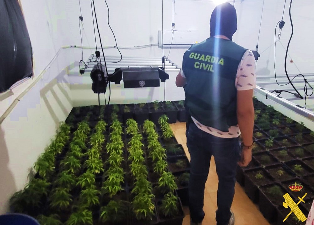 La Guardia Civil desmantela en Berja un sofisticado cultivo de marihuana en interior de vivienda