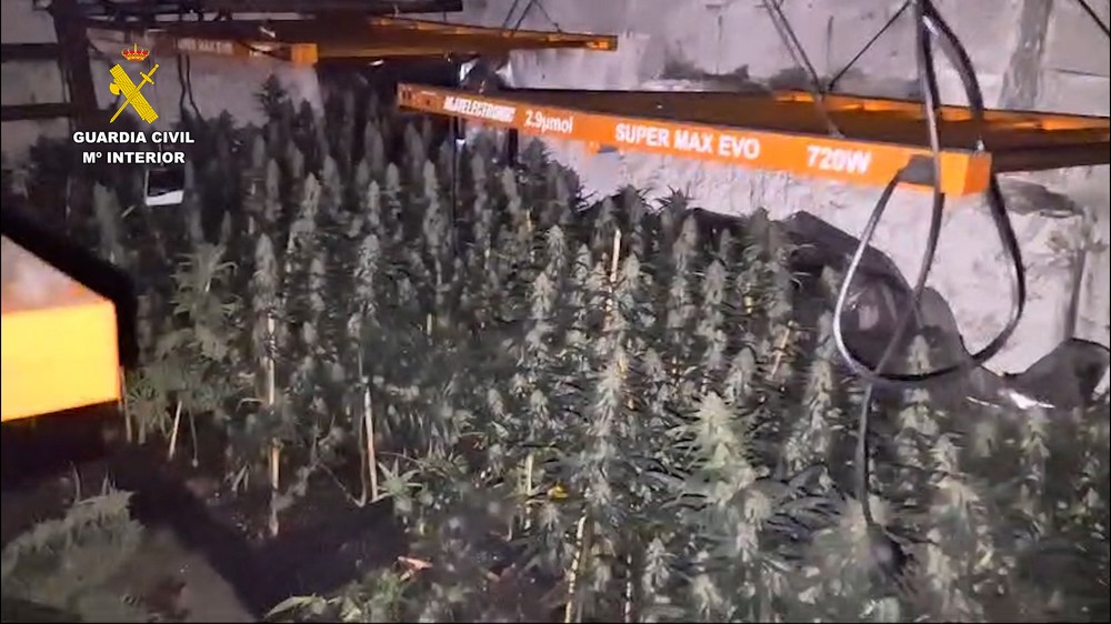 Los enganches ilegales de una plantación de marihuana provocan un incendio de madrugada en Las Norias